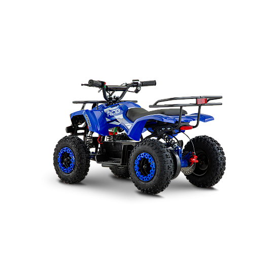 ATV de adulti RDB-FFL800, 800W, 36V12Ah ATV de adulti RDB-FFL800, 800W, 36V12Ah