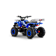 ATV de adulti RDB-FFL800, 800W, 36V12Ah ATV de adulti RDB-FFL800, 800W, 36V12Ah