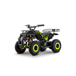 ATV de adulti RDB-FFL800, 800W, 36V12Ah ATV de adulti RDB-FFL800, 800W, 36V12Ah