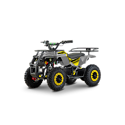 ATV de adulti RDB-FFL800, 800W, 36V12Ah