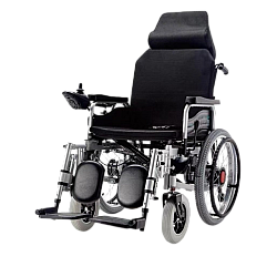 Cărucior WT-11603,  Motoare 2 x 250 W, 24V-12AH, rabatabil cu tetiera