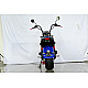 Scuter electric CityCoco Harley RDB CP-6