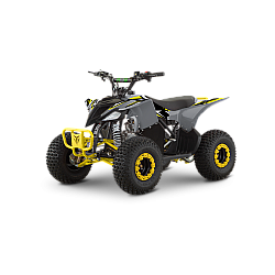ATV de copii RDB-AZ110, 110cc, 4 Timpi ATV de copii RDB-AZ110, 110cc, 4 Timpi