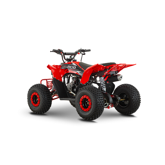 ATV de copii RDB-AZ110, 110cc, 4 Timpi