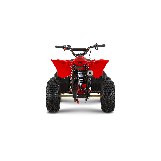 ATV de copii RDB-AZ110, 110cc, 4 Timpi