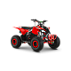 ATV de copii RDB-AZ110, 110cc, 4 Timpi